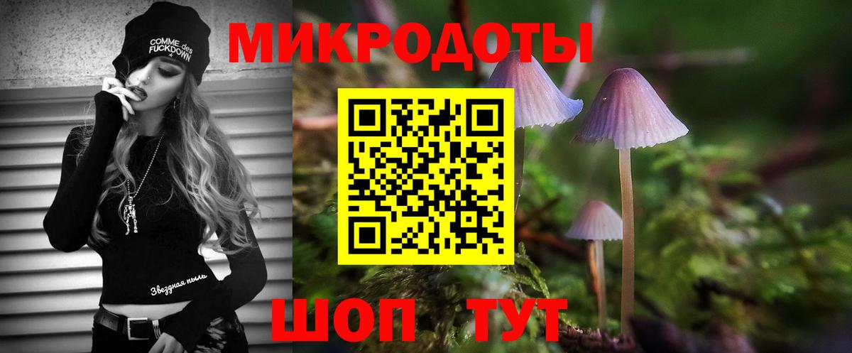 Клин  Псилоцибиновые грибы мицелий  Вход с VPN 