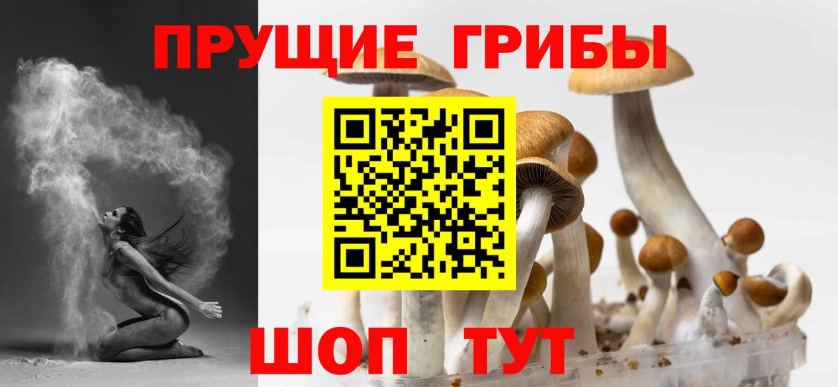 Галлюциногенные грибы MAGIC MUSHROOMS Клин
